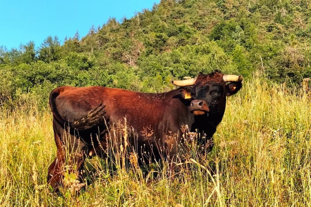 Appartamento Di Montagna Lo Grop Chambave Dış mekan fotoğraf