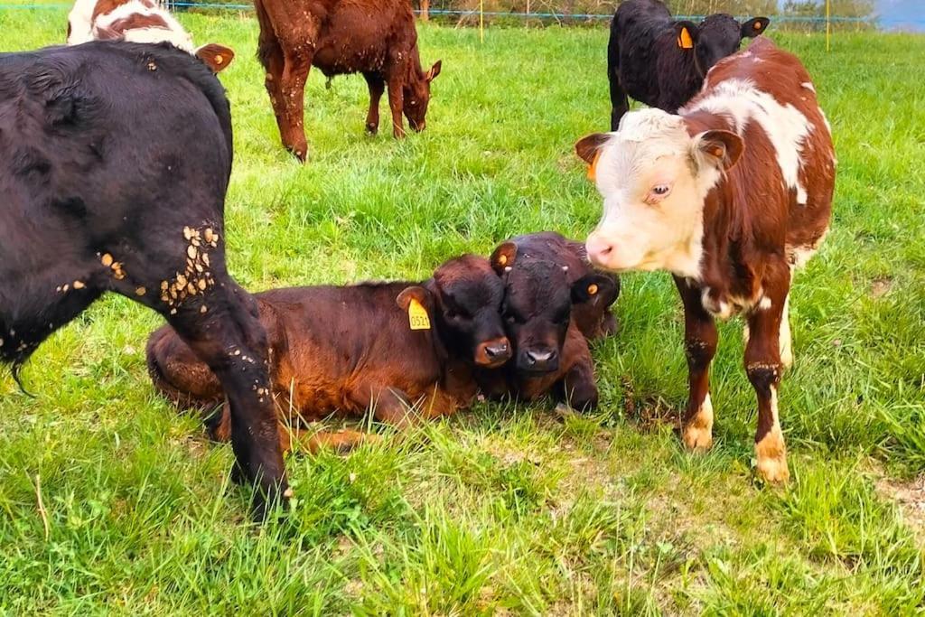 Appartamento Di Montagna Lo Grop Chambave Dış mekan fotoğraf